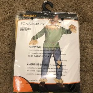 Scare Crow costume (adult)